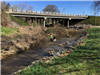 Creek Cleanup (4)